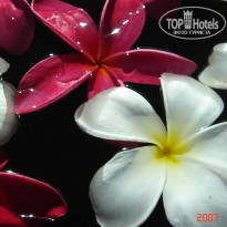 фото из отзыва ID 2638299