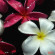 фото из отзыва ID 2638299