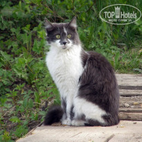 фото из отзыва ID 2637737