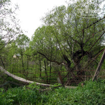 фото из отзыва ID 2637737