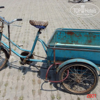 фото из отзыва ID 2638016