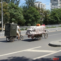 фото из отзыва ID 2638016