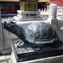 фото из отзыва ID 2638016