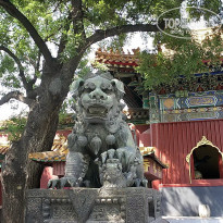 фото из отзыва ID 2638016