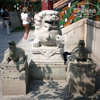 фото из отзыва ID 2638016