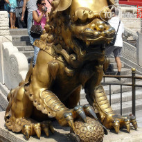 фото из отзыва ID 2638016