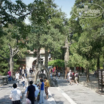 фото из отзыва ID 2638016