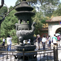 фото из отзыва ID 2638016