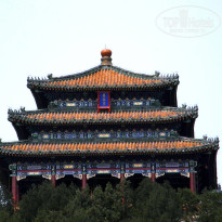 фото из отзыва ID 2638016