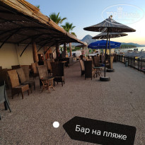 фото из отзыва ID 2632809