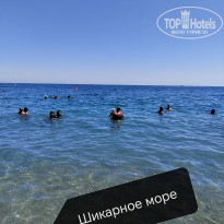 фото из отзыва ID 2632809