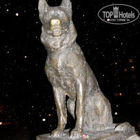 фото из отзыва ID 2637350