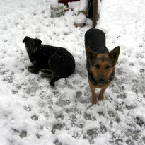 фото из отзыва ID 2637237