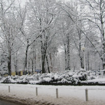 фото из отзыва ID 2637237