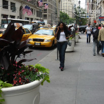 фото из отзыва ID 2637091