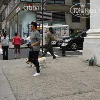 фото из отзыва ID 2637091