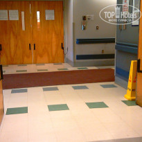 фото из отзыва ID 2636806