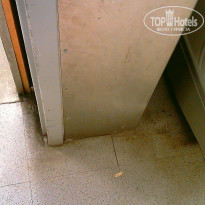 фото из отзыва ID 2636806