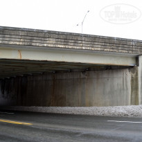 фото из отзыва ID 2636806