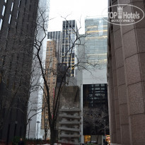 фото из отзыва ID 2636812