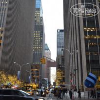 фото из отзыва ID 2636812