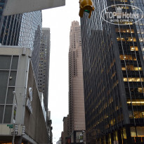 фото из отзыва ID 2636812