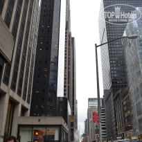 фото из отзыва ID 2636812