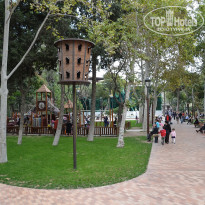 фото из отзыва ID 2636765