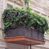 фото из отзыва ID 2636765