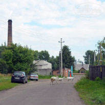 фото из отзыва ID 2636335