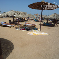 фото из отзыва ID 264805