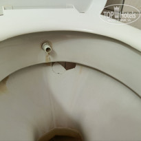 фото из отзыва ID 2640069