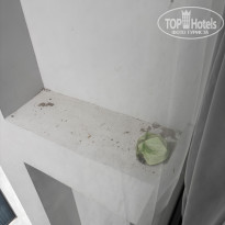 фото из отзыва ID 2640154