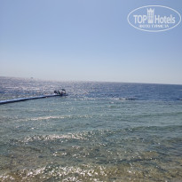 фото из отзыва ID 2640171