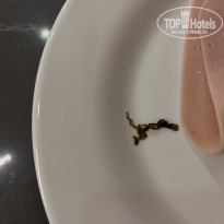 фото из отзыва ID 2640444