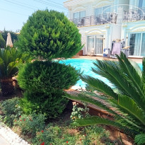 фото из отзыва ID 2640470