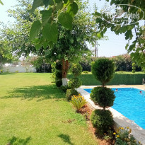 фото из отзыва ID 2640470