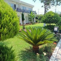 фото из отзыва ID 2640470