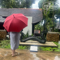 фото из отзыва ID 2640480