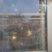 фото из отзыва ID 2640523