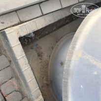 фото из отзыва ID 2640608