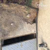 фото из отзыва ID 2640608