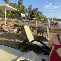 фото из отзыва ID 2640607