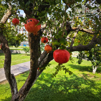 фото из отзыва ID 2640619