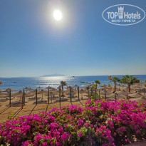 фото из отзыва ID 2640737