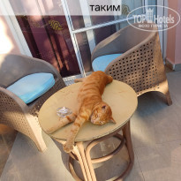 фото из отзыва ID 2640737