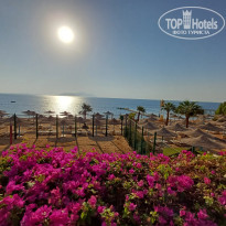 фото из отзыва ID 2640737