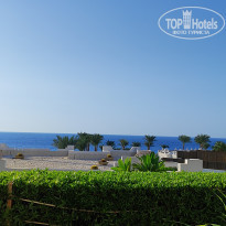 фото из отзыва ID 2640909