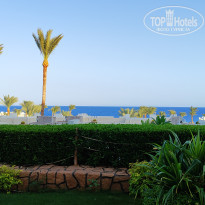 фото из отзыва ID 2640909