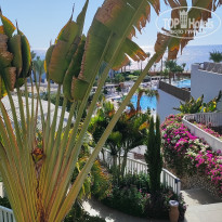 фото из отзыва ID 2640909